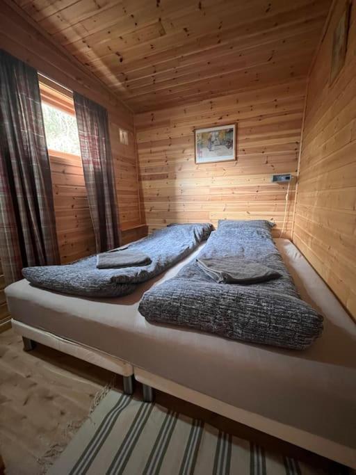 Cozy And Spacious Cabin Svensby Extérieur photo